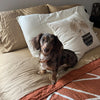 Teilor-Kaiser-Clarey-Insense-100-Bamboo-Sheets-Photo-Styled-Square-1080x1080_d5475a22-8fb4-479d-971c-2dda27df29f7